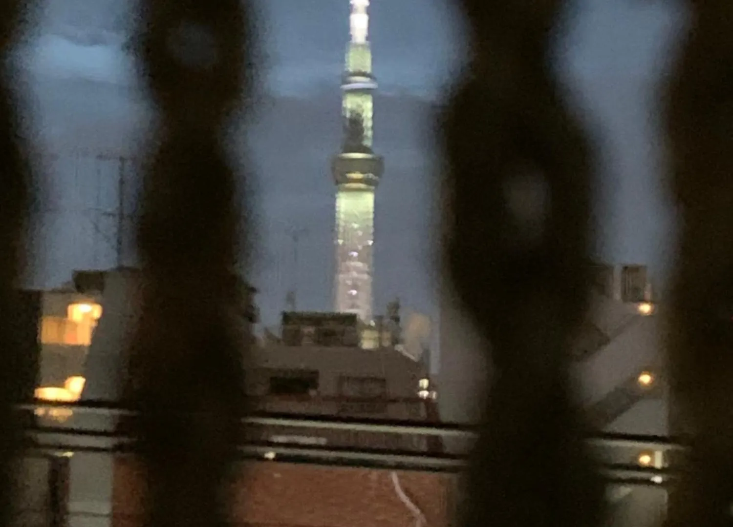 ホテル スミヨシホルモン Tokyo 0*,  Japan